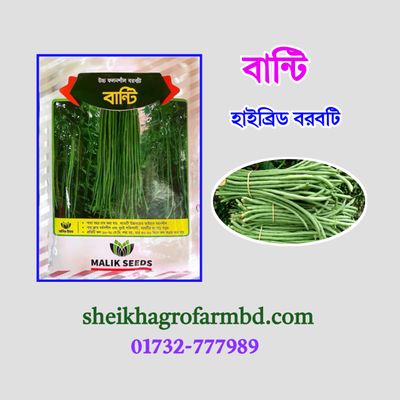 বান্টি (হাইব্রিড বরবটি)_img_0