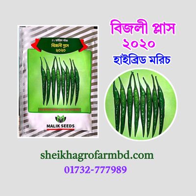 বিজলী প্লাস -২০২০ (হাইব্রিড মরিচ)_img_0