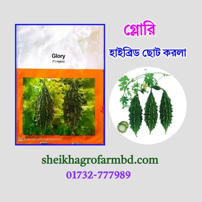 গ্লোরি (হাইব্রিড করলা)_img_0