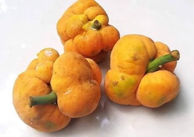 ডেউয়া_img_1