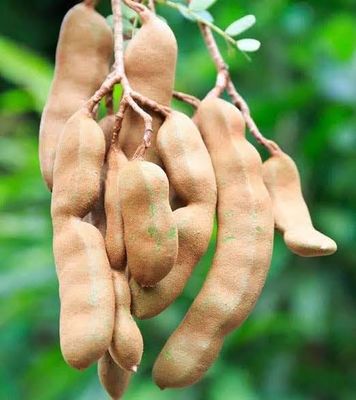 থাই মিষ্টি তেঁতুল_img_0