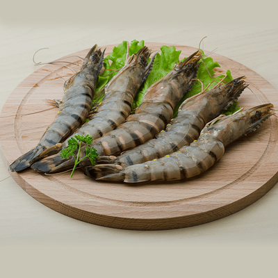 Frozen Head-On Shell Shrimps – Premium Quality_img_0