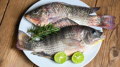 Fresh Whole Tilapia – 1kg (2-3 Pieces)_img_0