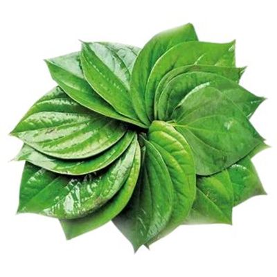 Paan - Betel Leaf 20 pc_img_0