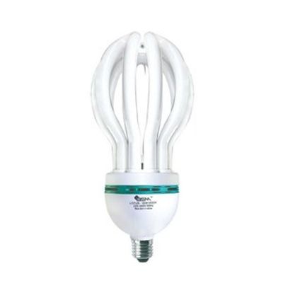 BSM Lotus Energy Light (Screw) 45 Watt_img_0