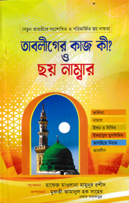 তাবলীগের কাজ কী? ও ছয় নাম্বার_img_0