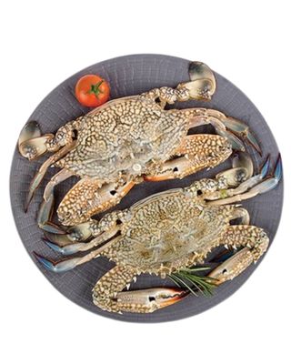 Fresh Local Big Crab._img_1