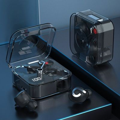P61 Pro Transparent TWS Earbuds_img_1