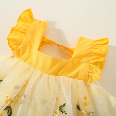 Baby Girls Ruffle Sleeve Floral Embroidered Summer Princess Dress (6 Months to 3 Years)_img_2
