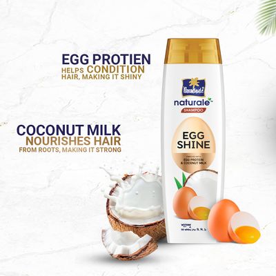 Parachute Naturale Shampoo Egg Shine 170ml_img_1