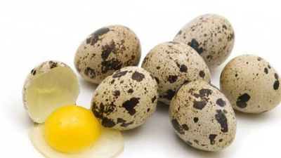 organic/Quail.egg._img_1
