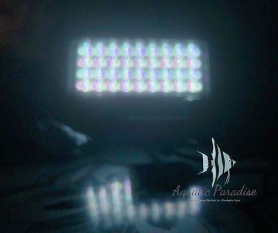 Neo Helios Pro+ 13W (Updated Version)_img_2