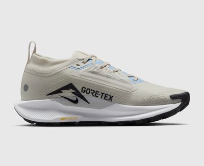 Nike x Pegasus Trail 5 GORE-TEX (1:1)_img_20