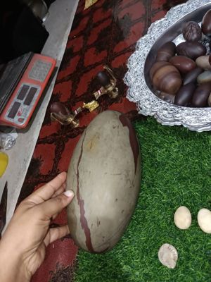 বানেশ্বর বানলিঙ্গ_img_3