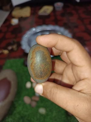 বানেশ্বর বানলিঙ্গ_img_6