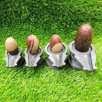 বানেশ্বর বানলিঙ্গ_img_8