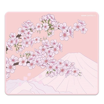 Aqua Control 2 XRAYPAD Gaming Mouse Pads | XL (450x400x4mm)_img_3