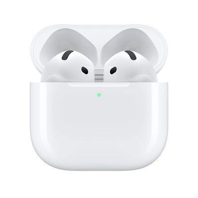 EarPods Pro ANC Earbuds (1st Generation)_img_1