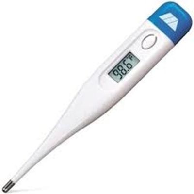 Thermometer Digital_img_0