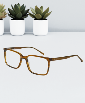 Ray-Ban Stylish Eye Glass_img_0