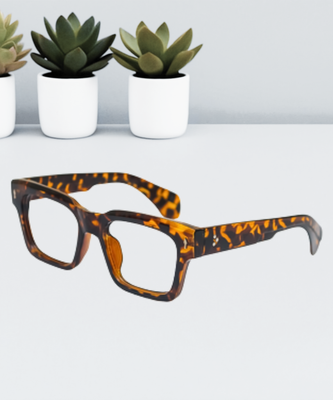 Dior Stylish Eyeglasses_img_0