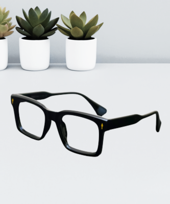 Dior Stylish Eyeglasses_img_0