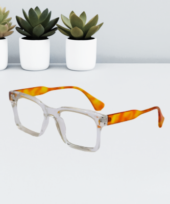 Dior Stylish Eyeglasses_img_0