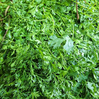ধনিয়া পাতা ১০০ গ্রাম - dhoniya pata 100 gram_img_0