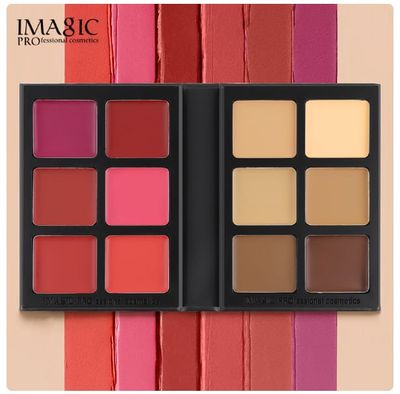 IMAGIC 12 Colors Contour & Blush Palette_img_0