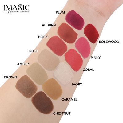 IMAGIC 12 Colors Contour & Blush Palette_img_2