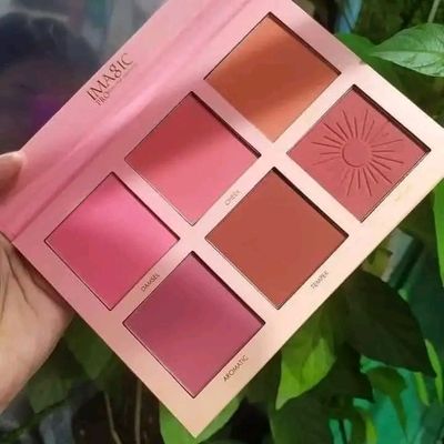 IMAGIC TOUCH BLUSH PALETTE_img_2