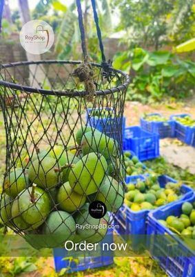 ১০ কেজি | রাজশাহীর খাঁটি হিমসাগর আম_img_1