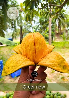 ১০ কেজি | রাজশাহীর খাঁটি হিমসাগর আম_img_2
