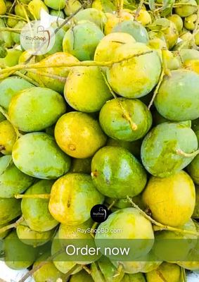 ১০ কেজি | রাজশাহীর খাঁটি হিমসাগর আম_img_3