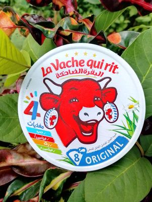 Laughing Cow Cheese (8pics)_img_0