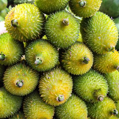 .কাকরোল ১/২ কেজি - kakrul/kakrol 1/2 kg_img_0