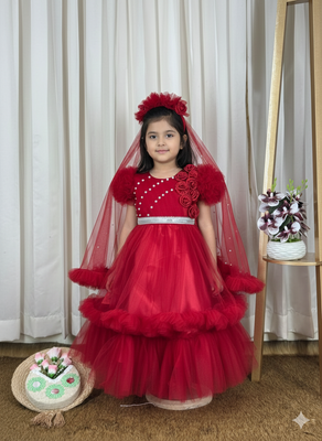 মেরুন কালার_img_1