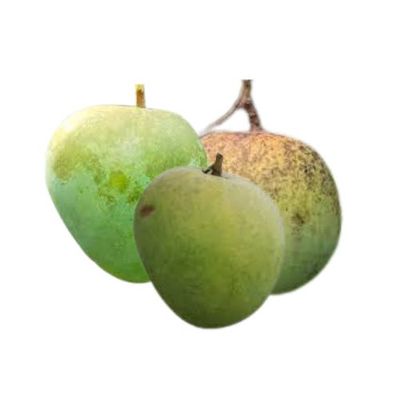 Harivanga Mango হাঁড়ি ভাংগা আম 1kg_img_0