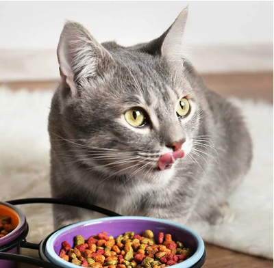Zoi Mixed Flavour Cat Food-1kg - Cat Food_img_0