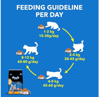 Drools Adult Dry Cat Food, Real Chicken Flavour 400 gm_img_2