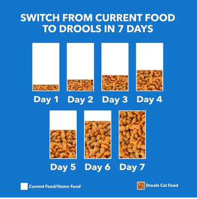 Drools Adult Dry Cat Food, Real Chicken Flavour 400 gm_img_3