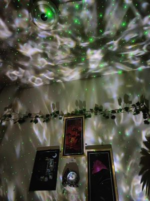 Galaxy Projector with Dubble Speaker_img_3