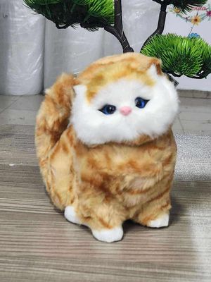 Cat toy_img_0