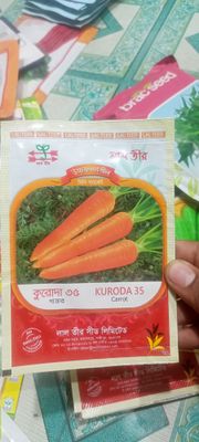 গাজর / গাজরের 🥕 বীজ কুরোদা ৩৫ ।  Carrot 🥕 seeds KURODA 35_img_0