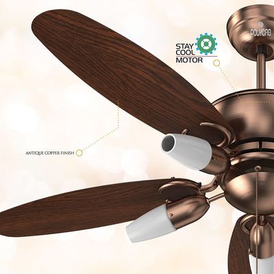 Polycab Superia SP02 48" Designer Remote Control BLDC Underlight Ceiling Fan (Antique Copper Rosewood) PC-101_img_2