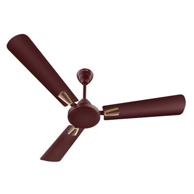 Havells Crew Deco 56'' (Brown) H-238_img_0