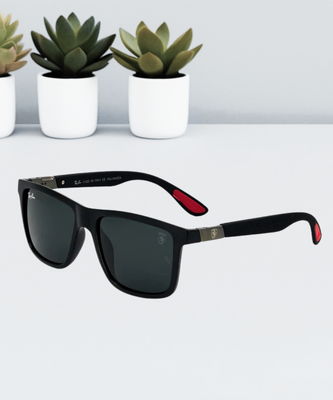 Ray-Ban Stylish Sunglasses | RB8357BR_img_0