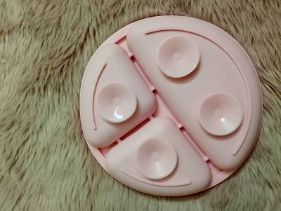 Silicon Plate_img_1