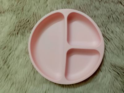 Silicon Plate_img_0