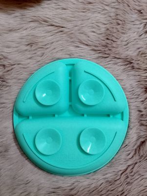 Silicon Plate_img_2
